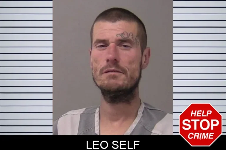 Leo Self