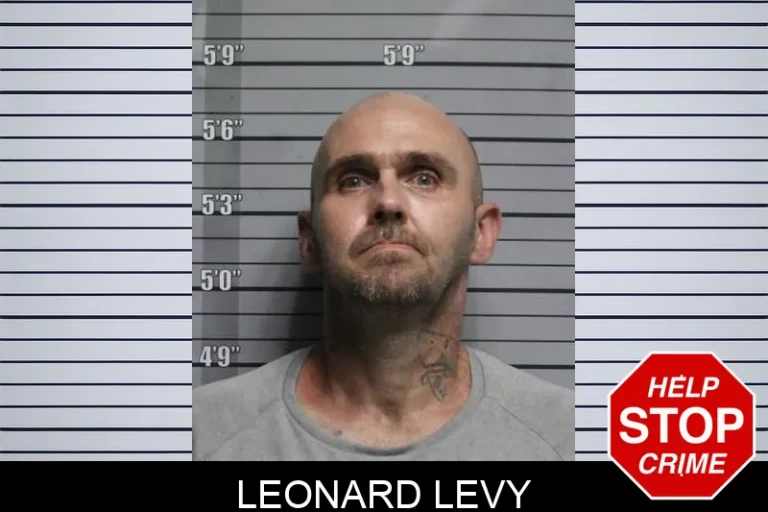 Leonard Levy