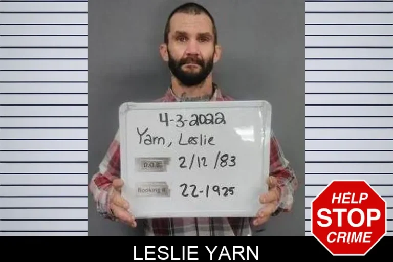 Leslie Yarn
