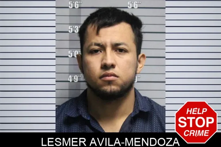 Lesmer Avila-Mendoza
