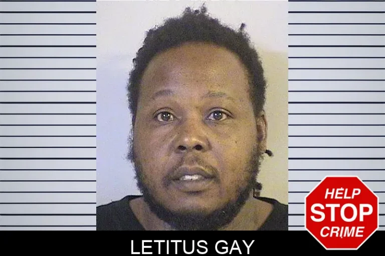 LetituS Gay