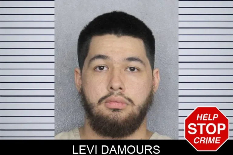 Levi Damours