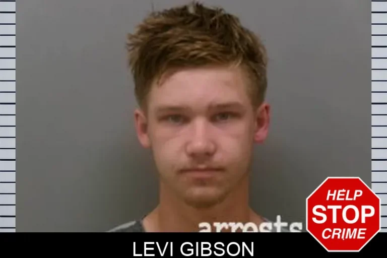 Levi Gibson