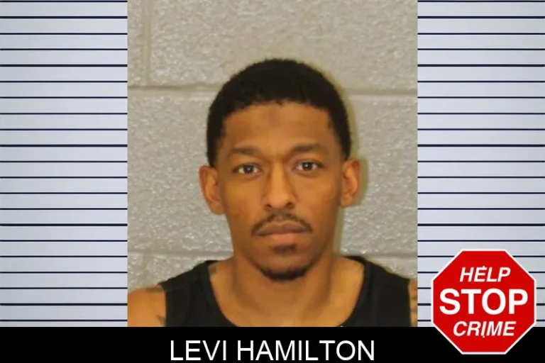 Levi Hamilton