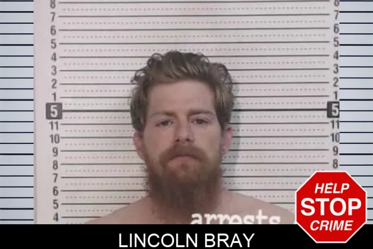 Lincoln Bray