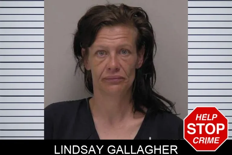 Lindsay Gallagher