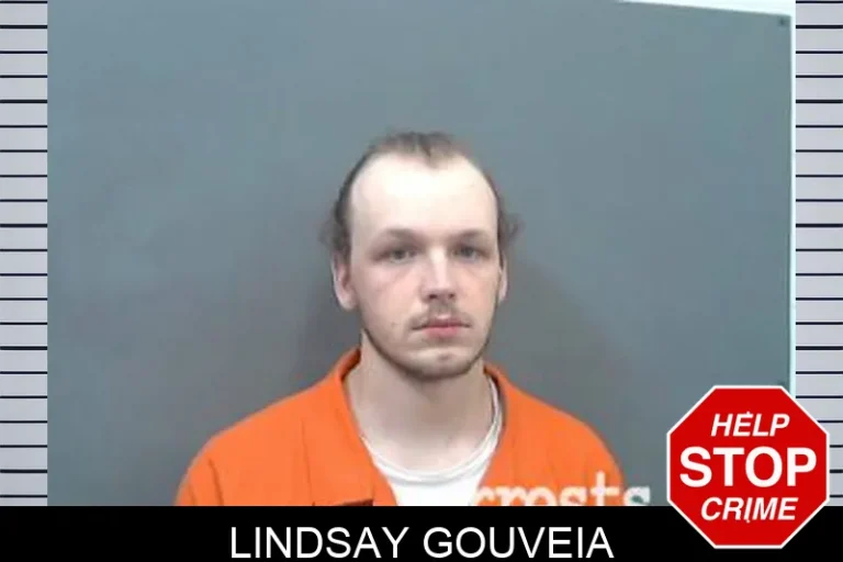 Lindsay GouVeia