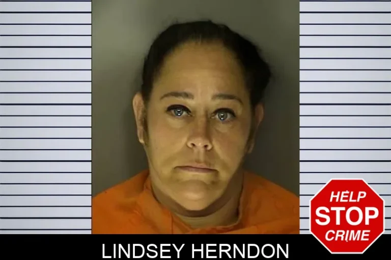 Lindsey Herndon