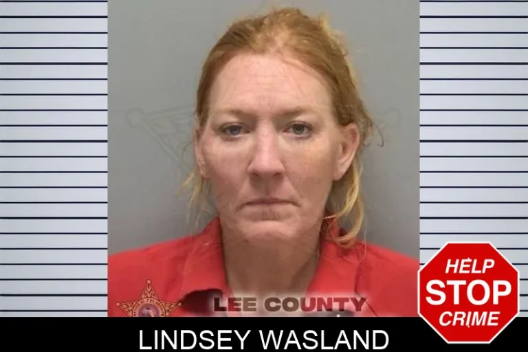 Lindsey Wasland
