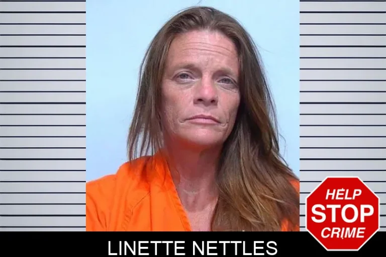 Linette Nettles