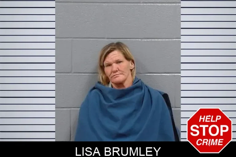 Lisa Brumley