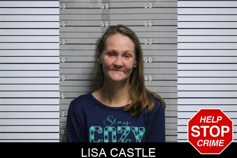 Lisa Castle