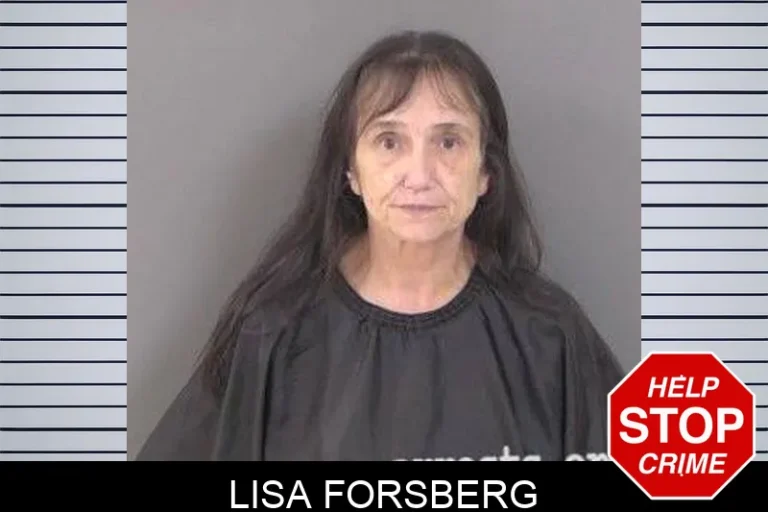 Lisa Forsberg