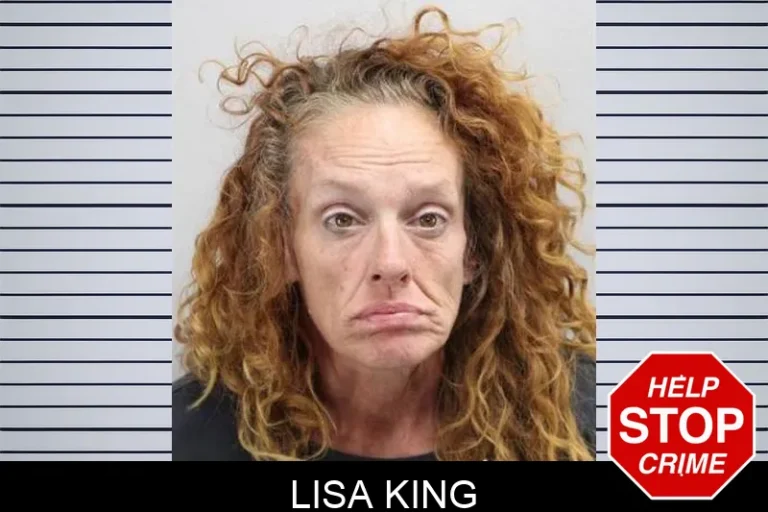 Lisa King