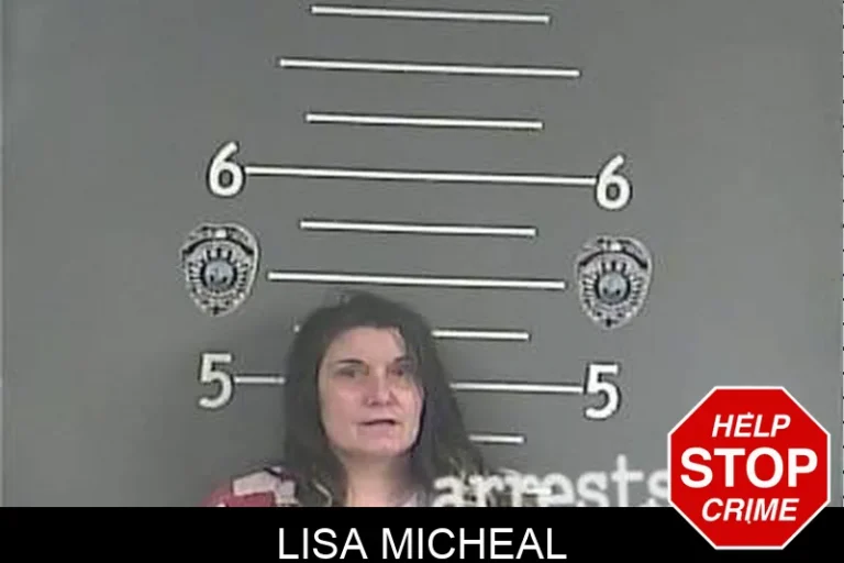 Lisa Micheal