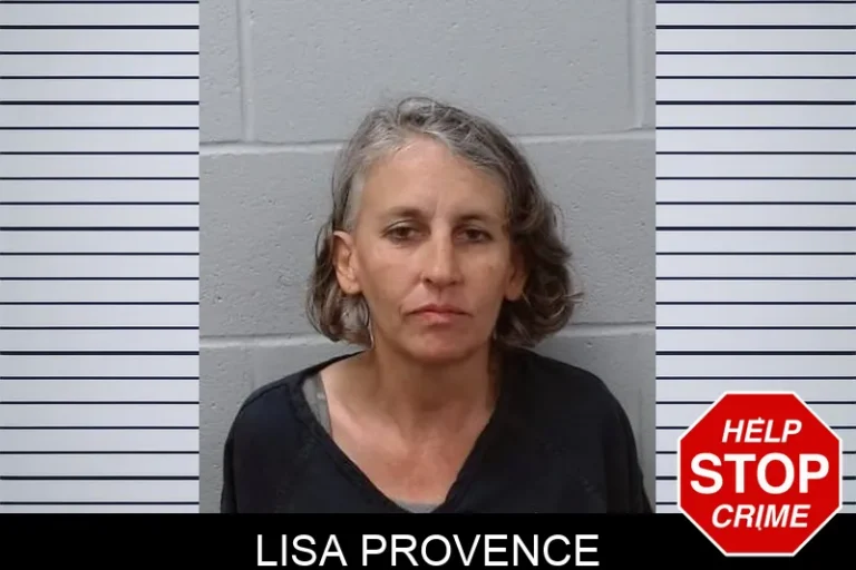 Lisa Provence