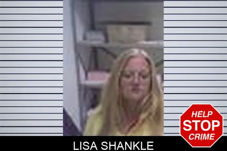 Lisa Shankle