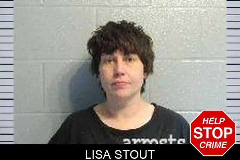 Lisa Stout