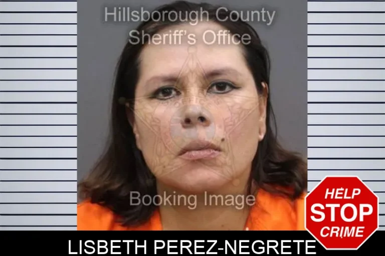 Lisbeth Perez-Negrete