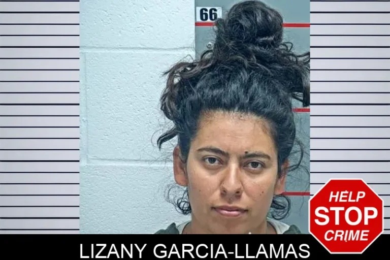 Lizany Garcia-Llamas