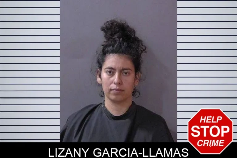Lizany Garcia-Llamas