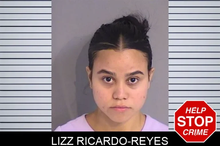 Lizz Ricardo-Reyes