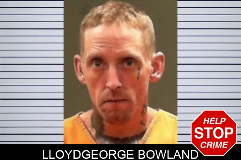 LloydGeorge Bowland