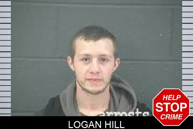 Logan Hill