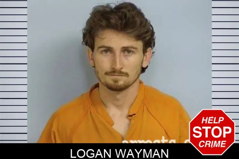 Logan Wayman