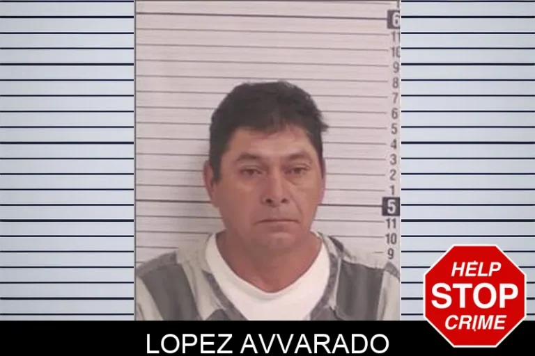 Lopez Avvarado