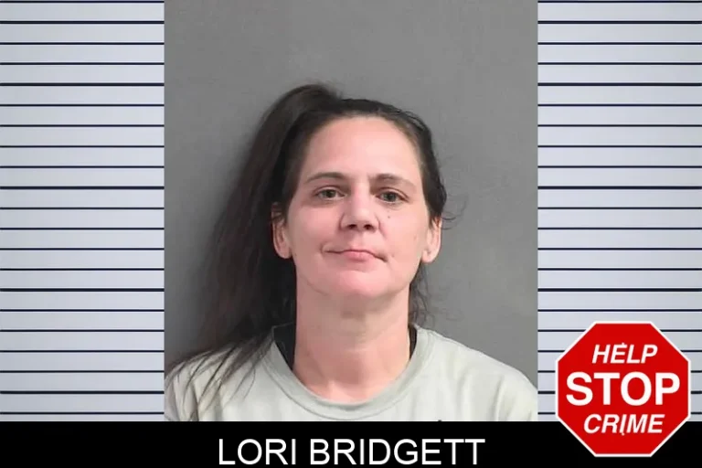 Lori Bridgett
