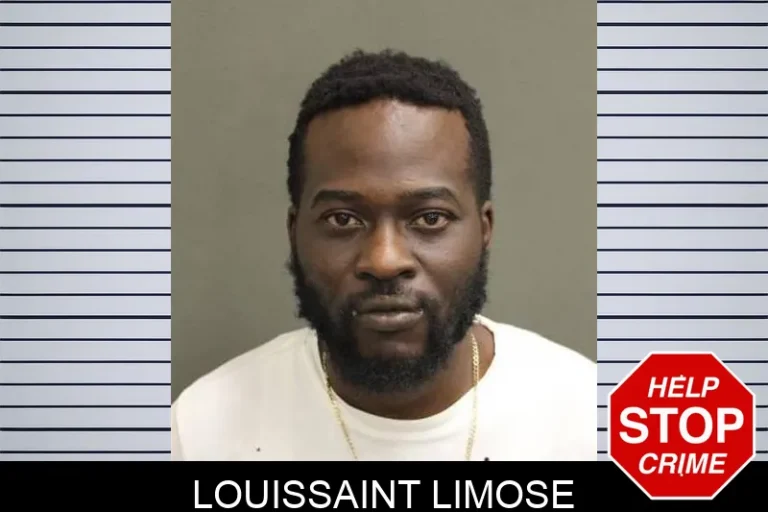 Louissaint Limose