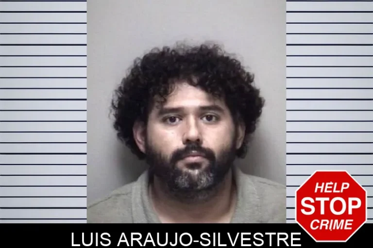 LuIs ArauJo-Silvestre