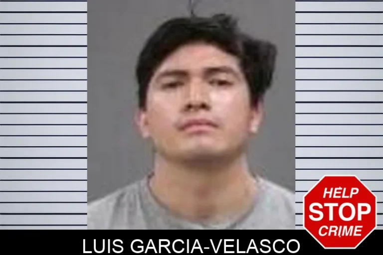 LuIs Garcia-Velasco