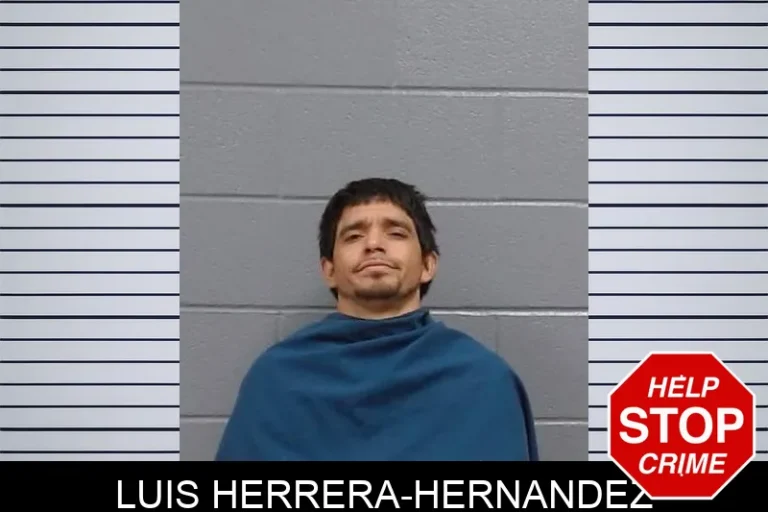 LuIs Herrera-Hernandez