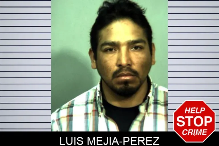 LuIs Mejia-Perez