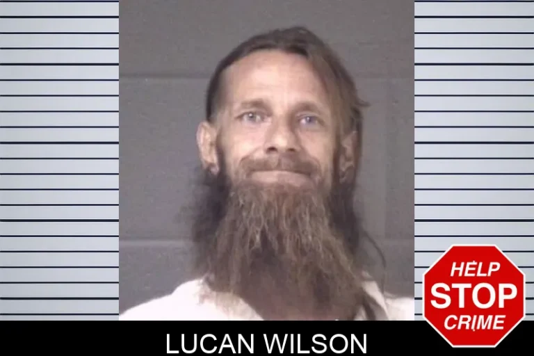 Lucan Wilson