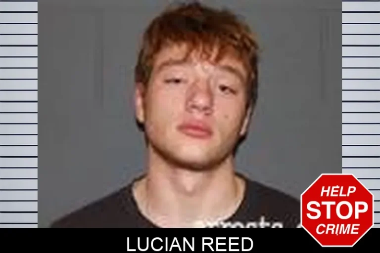 Lucian Reed