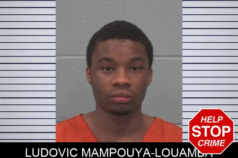 Ludovic Mampouya-Louamba
