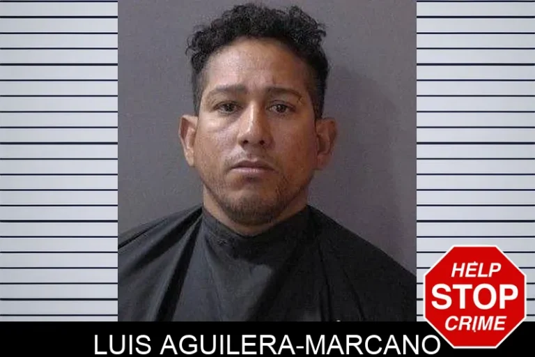 Luis Aguilera-Marcano