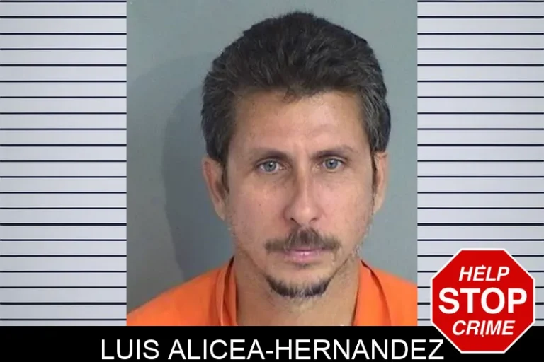 Luis Alicea-Hernandez