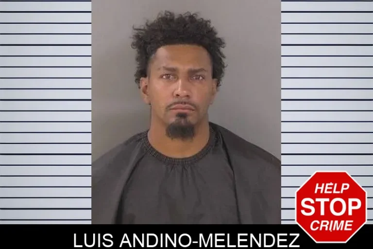 Luis Andino-Melendez