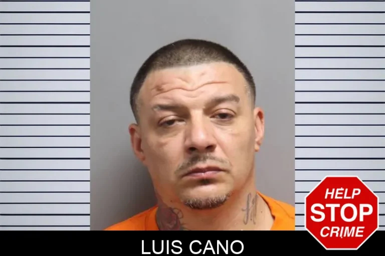 Luis Cano