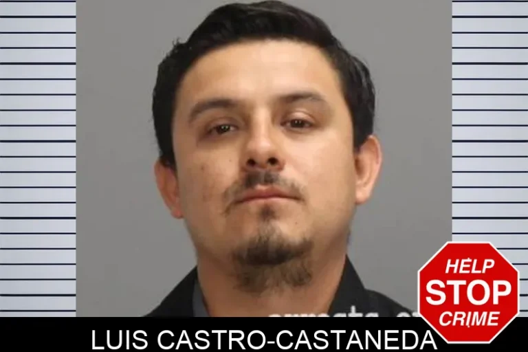Luis Castro-Castaneda