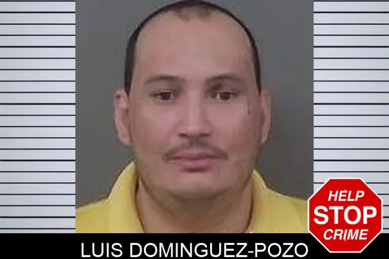 Luis Dominguez-Pozo