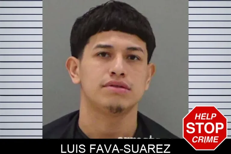 Luis Fava-Suarez