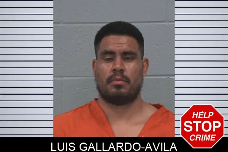 Luis Gallardo-Avila