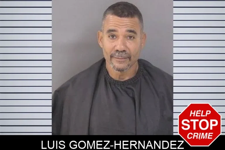 Luis Gomez-Hernandez