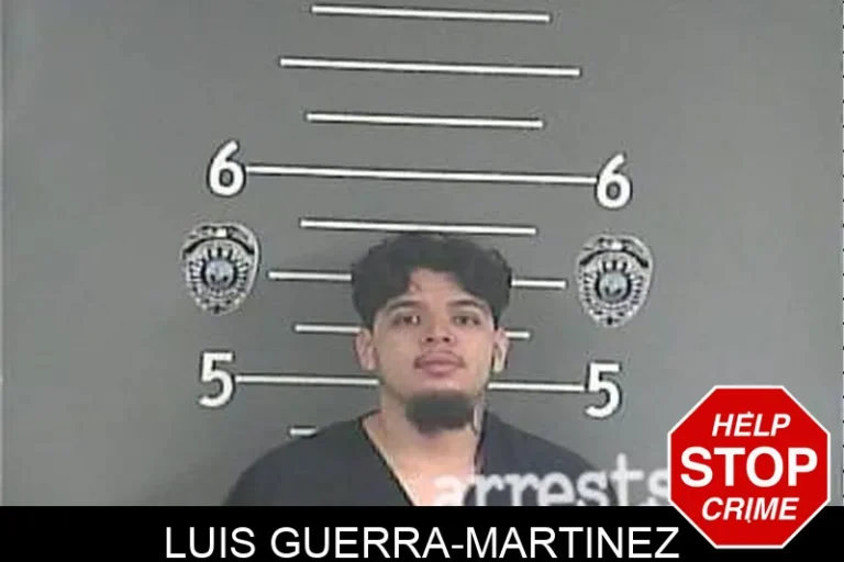 Luis Guerra-Martinez