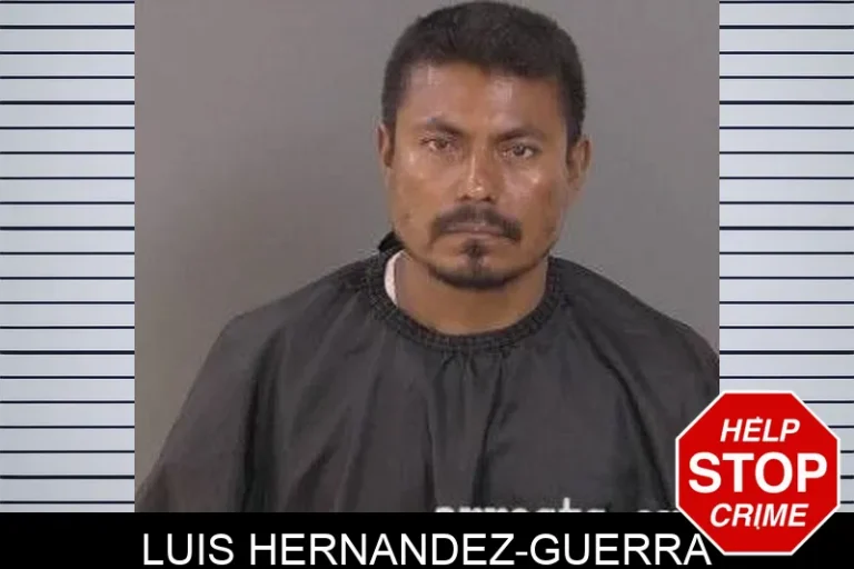 Luis Hernandez-Guerra